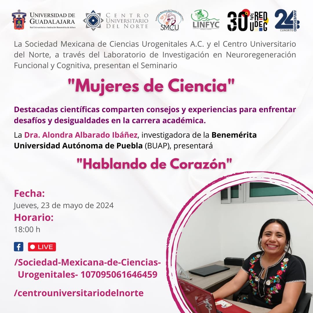 Conferencia Pasada 2