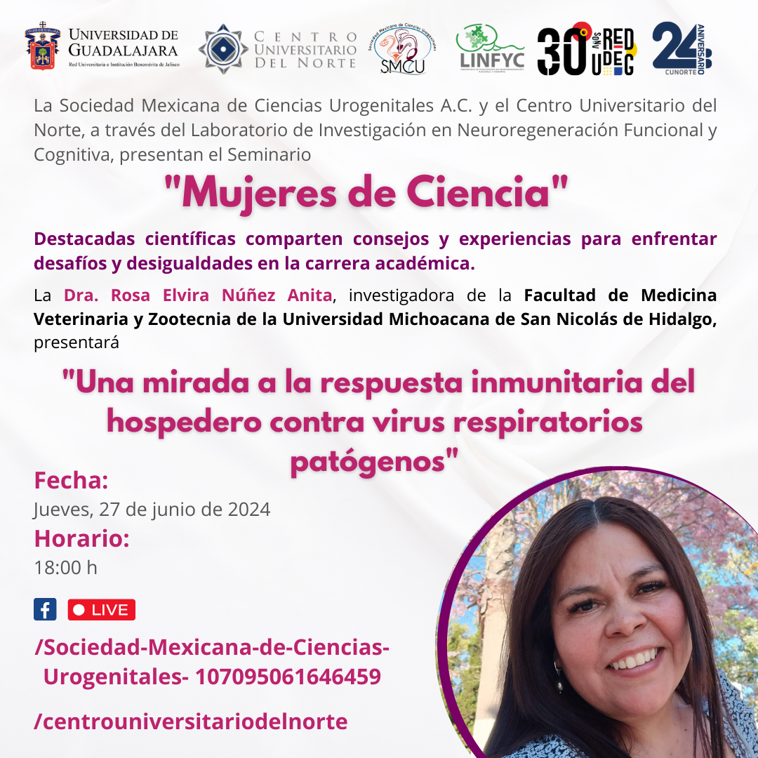 Conferencia Pasada 7